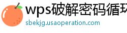wps破解密码循环代码是什么意思呀